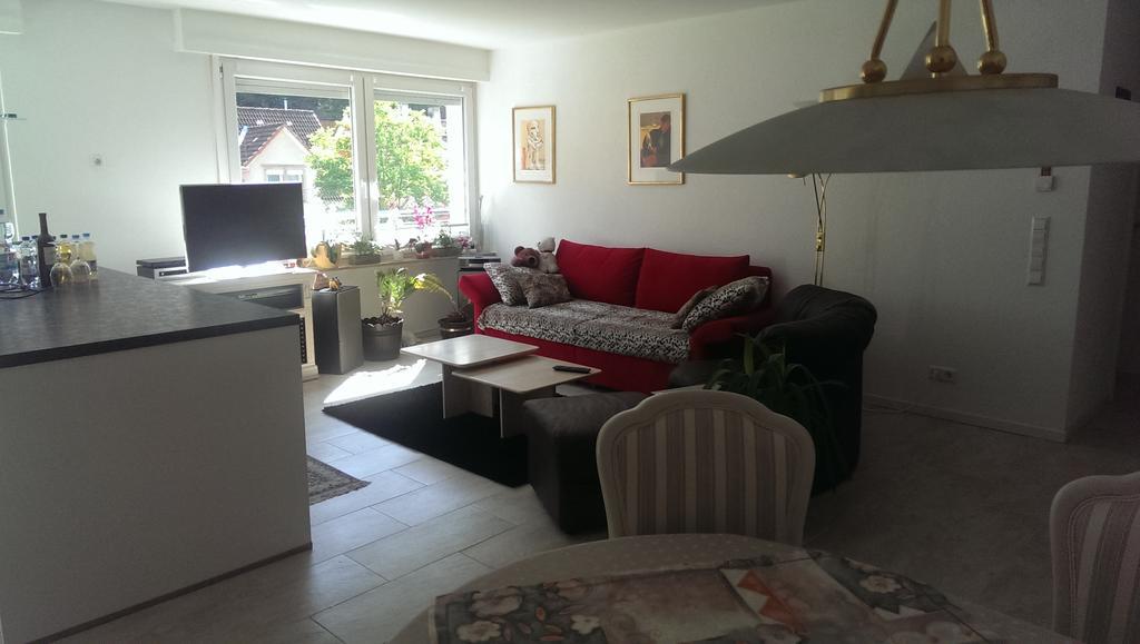 Loft Nagoldtal Apartment Пфорцхайм Екстериор снимка